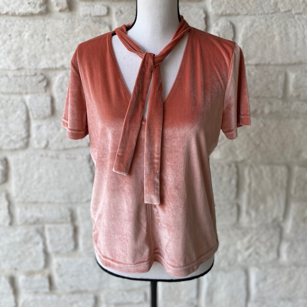 Madewell Velvet Blush Pink Top / Size Medium